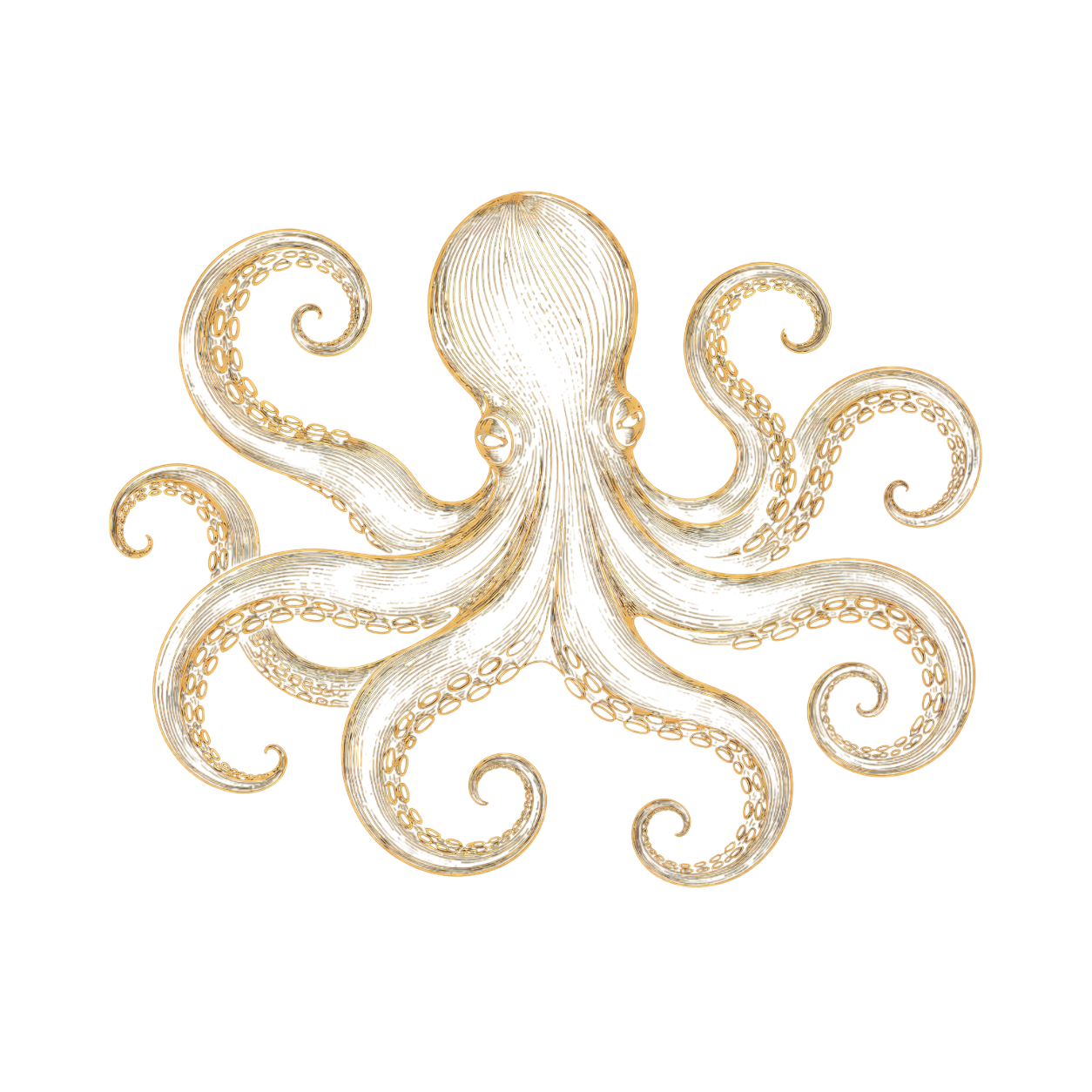 Elegant gold octopus line art on deep navy background.